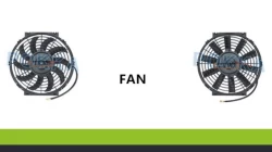 Special Fan